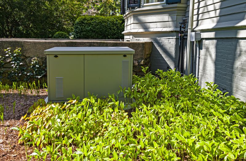 Residential Generator in Driveway